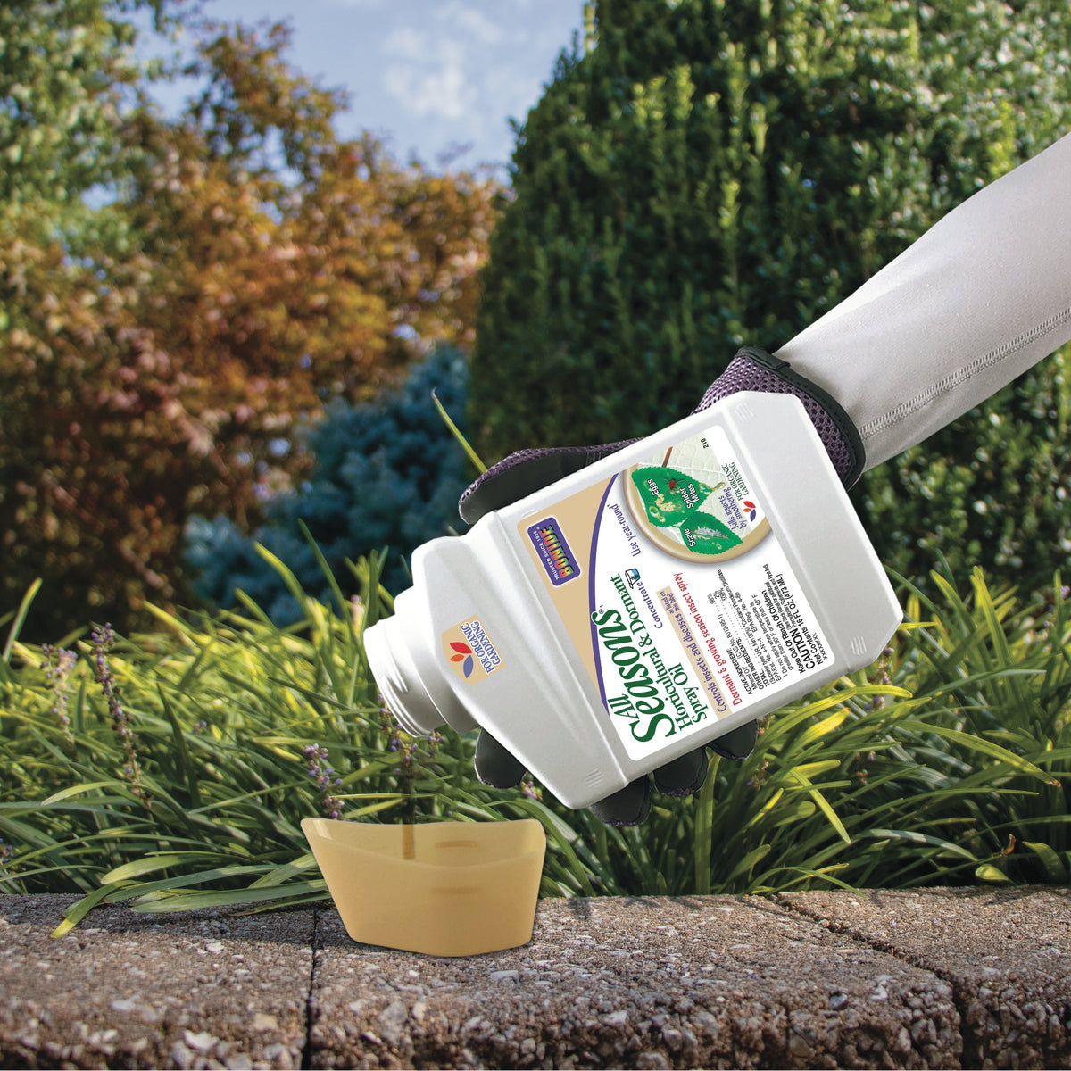 Bonide All Seasons Horticultural & Dormant Spray Oil Concentrate, 16 oz