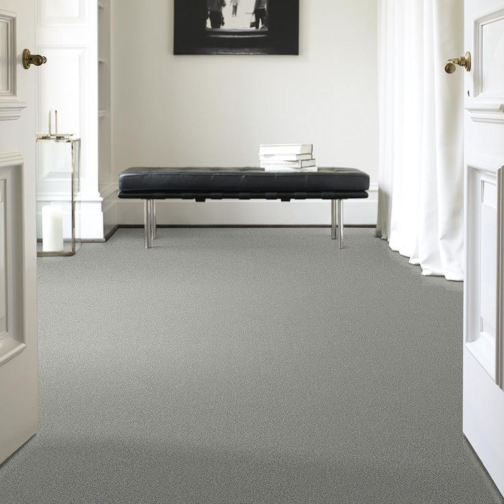 STAINMASTER PetProtect Baxter II Roscoe Textured Carpet (Indoor)