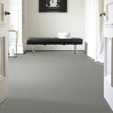 STAINMASTER PetProtect Baxter II Roscoe Textured Carpet (Indoor)