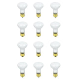Feit Electric 45-Watt Soft White (2700K) R20 Dimmable Incandescent Flood Light Bulb Maintenance Pack (12-Pack)
