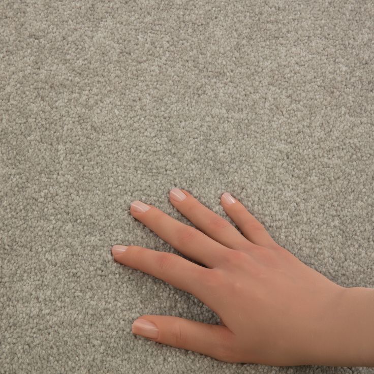 STAINMASTER Essentials Blue Diamonds II 12-ft Greige Textured Carpet (Indoor)