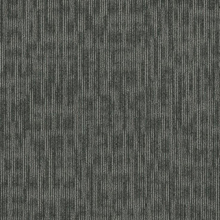 Shaw Whiz Kid 24-in x 24-in Sharp Multi-level Loop Full Spread Adhesive Carpet Tile (48-sq ft)