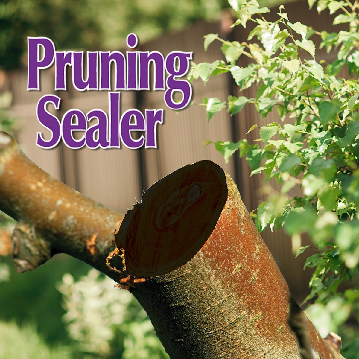 Bonide Garden Rich Pruning Sealer Aerosol, 14 oz