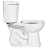 2-Piece 0.8 GPF Single Flush Round Bowl Toilet in White - Super Arbor