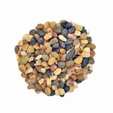 Mosser Lee 5 lbs. River Pebbles in Storage Jar - Super Arbor