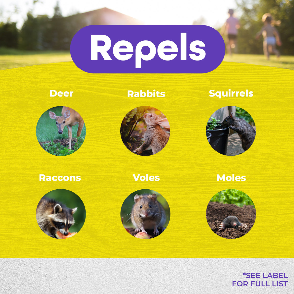 Bonide Repels-All Animal Repellent Concentrate, 32 oz