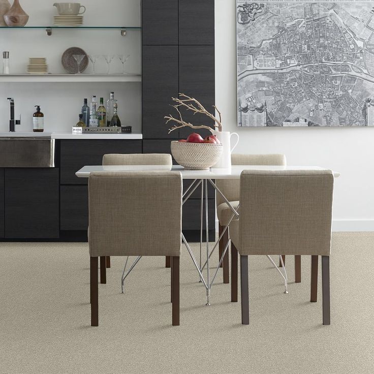 STAINMASTER PetProtect Baxter III Harley Textured Carpet (Indoor)