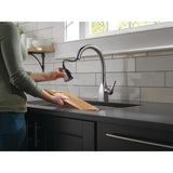 Mateo Single-Handle Pull-Down Sprayer Kitchen Faucet with ShieldSpray Technology in Arctic Stainless - Super Arbor