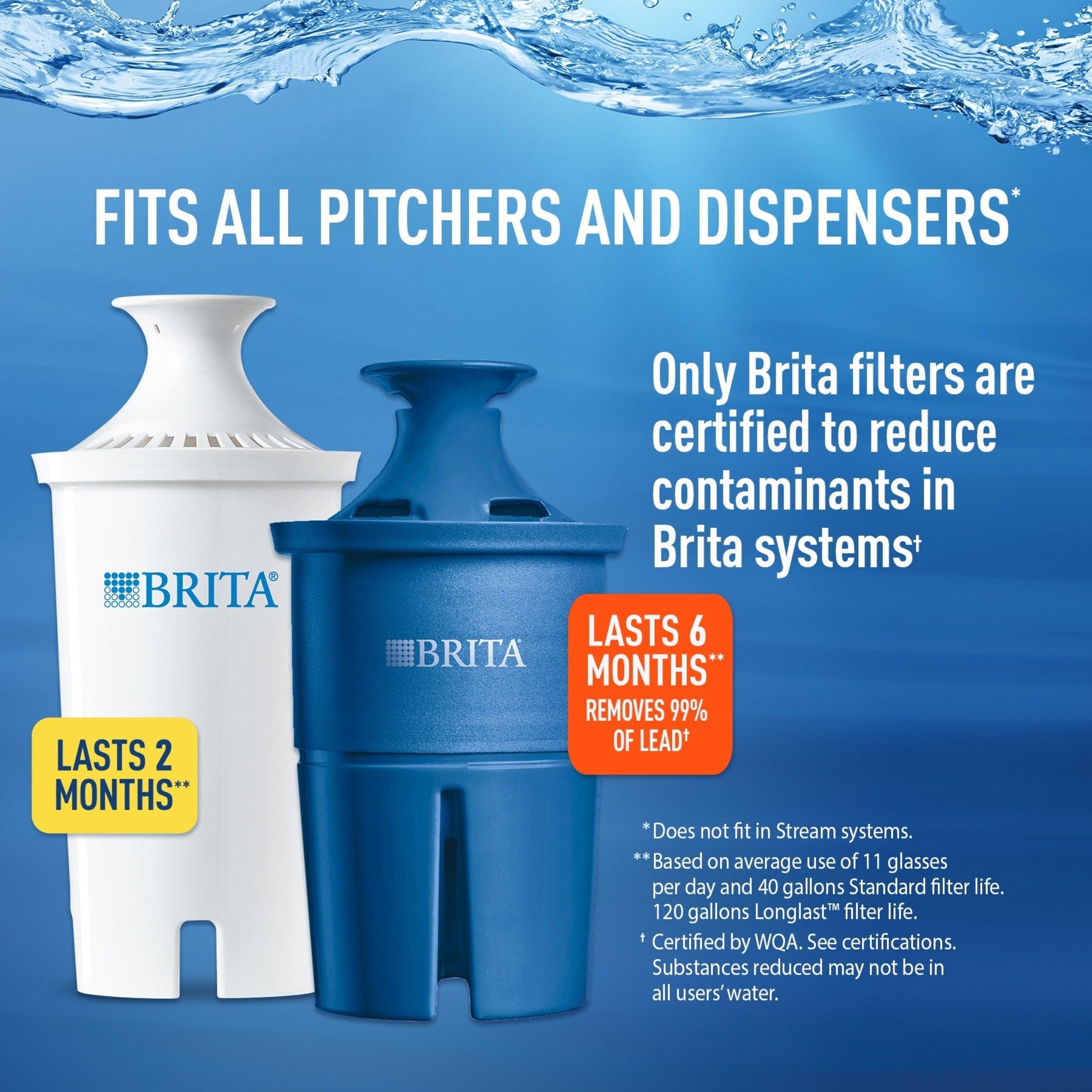 2423b276-db71-4bba-a622-9e9902138a56_1.629d65d38d1f1c6b6e3dd066a53e11c6_-869270973.jpeg