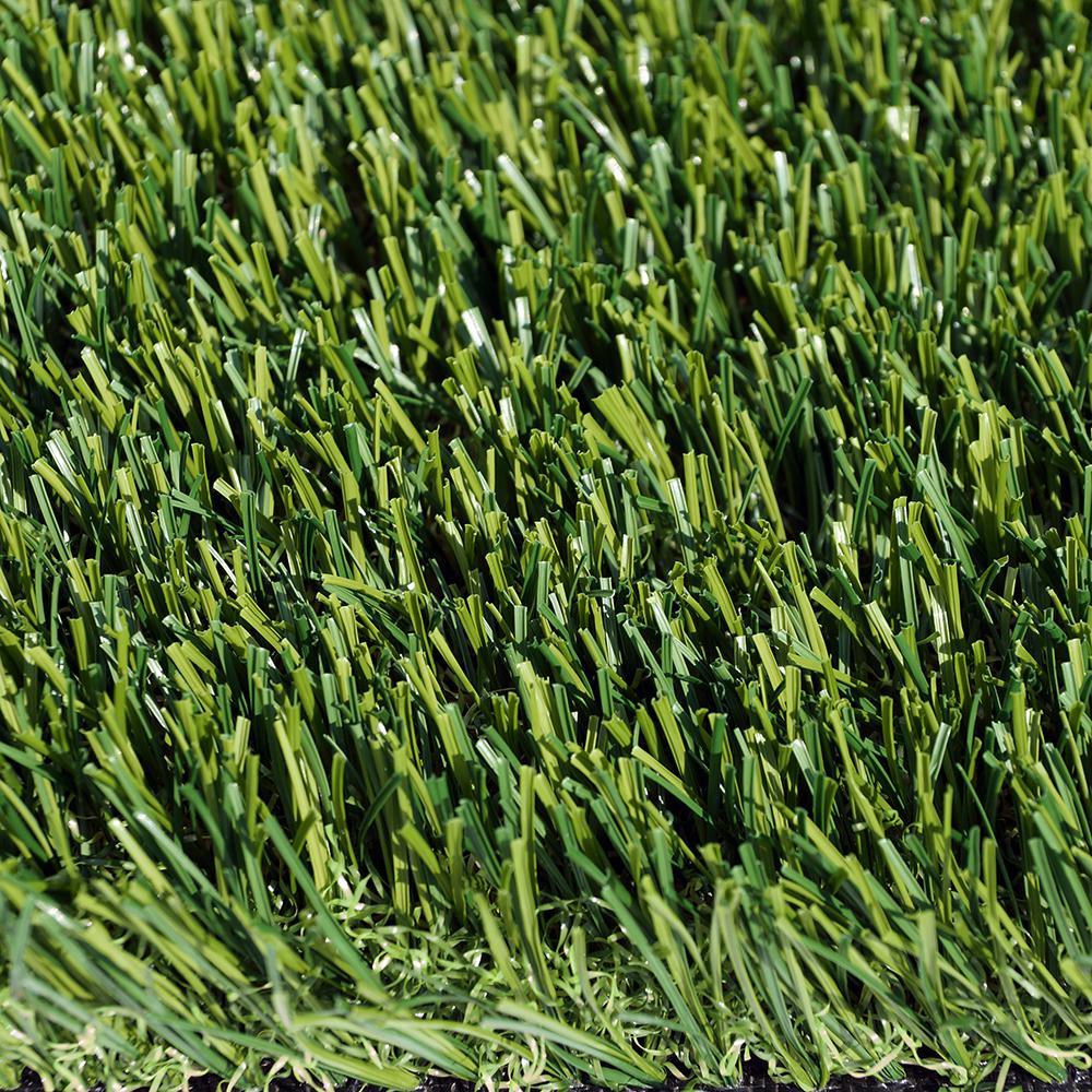 StarPro Greens Centipede Southwest 15 ft. Wide x Cut to Length Artificial Grass - Super Arbor