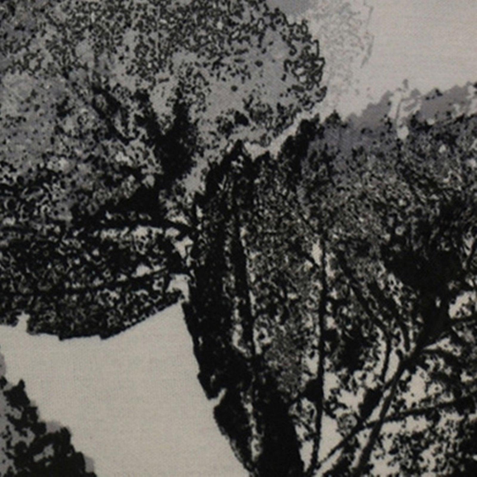 2546f9b2-068d-4272-a629-f3ad39867a0e_1.19e9e57615aada327f4d7b1e744e029b_-1815767559.jpeg