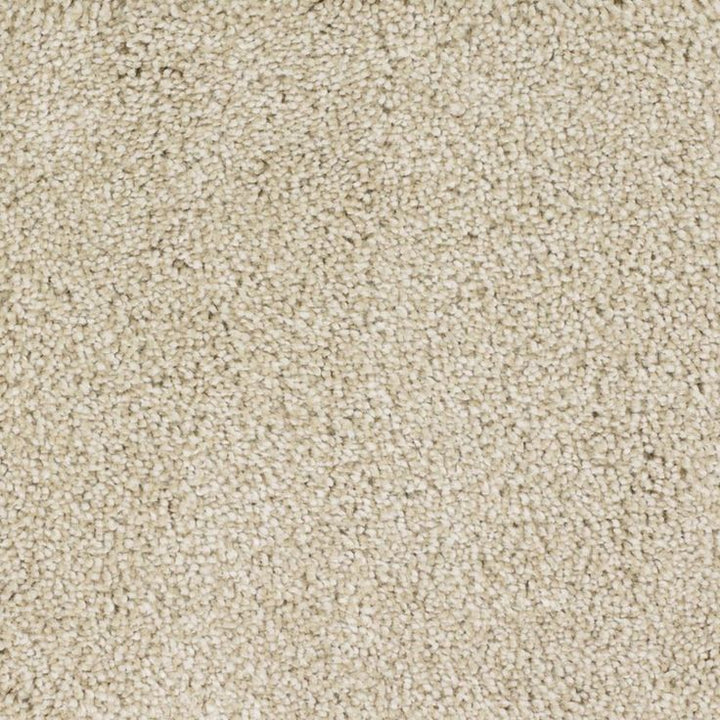 STAINMASTER Signature Briar Patch Bamboo Textured Carpet (Indoor)