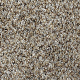 STAINMASTER PetProtect Concord Mystical Charm Textured Carpet (Indoor)