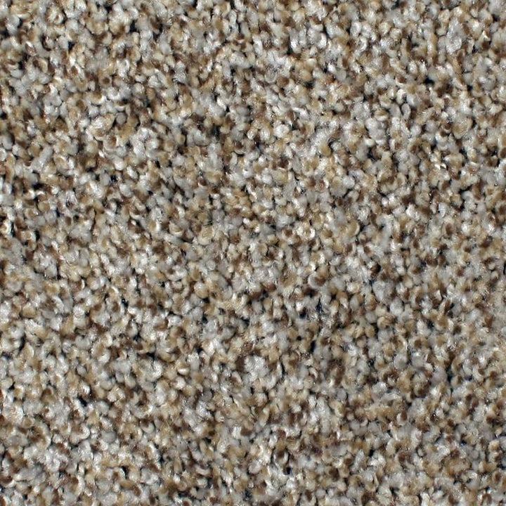 STAINMASTER PetProtect Concord Mystical Charm Textured Carpet (Indoor)