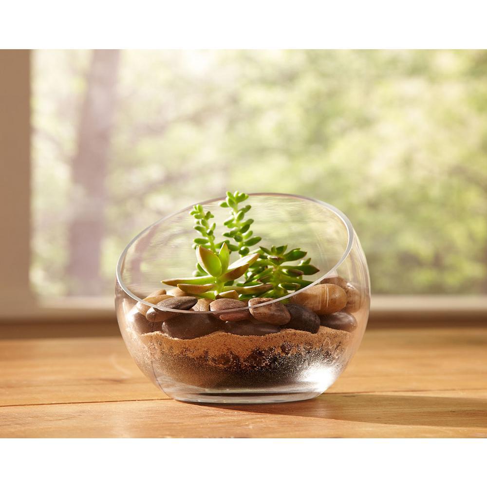 Mosser Lee 5 lb. Mixed River Stones - Super Arbor
