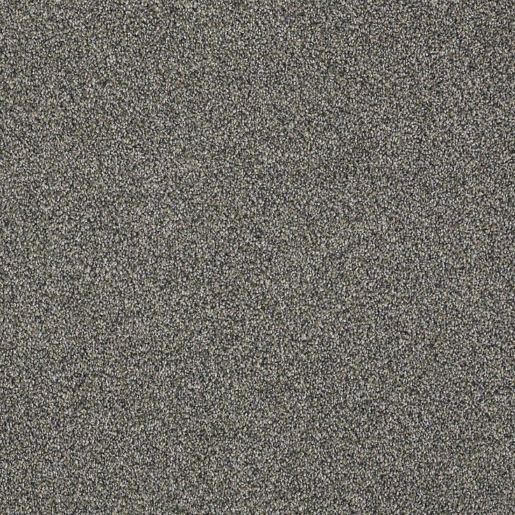 STAINMASTER PetProtect Baxter II Schnauzer Textured Carpet (Indoor)