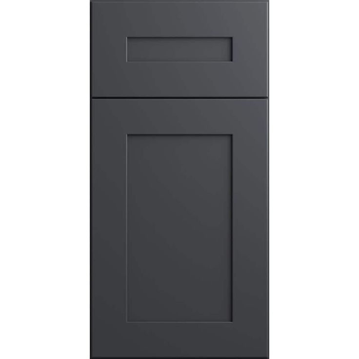Home Decorators Collection Newport 24 in. W x 21 in. D x 34.5 in. H Assembled Plywood Sink Base Bath Cabinet in Deep Onyx with Soft Close