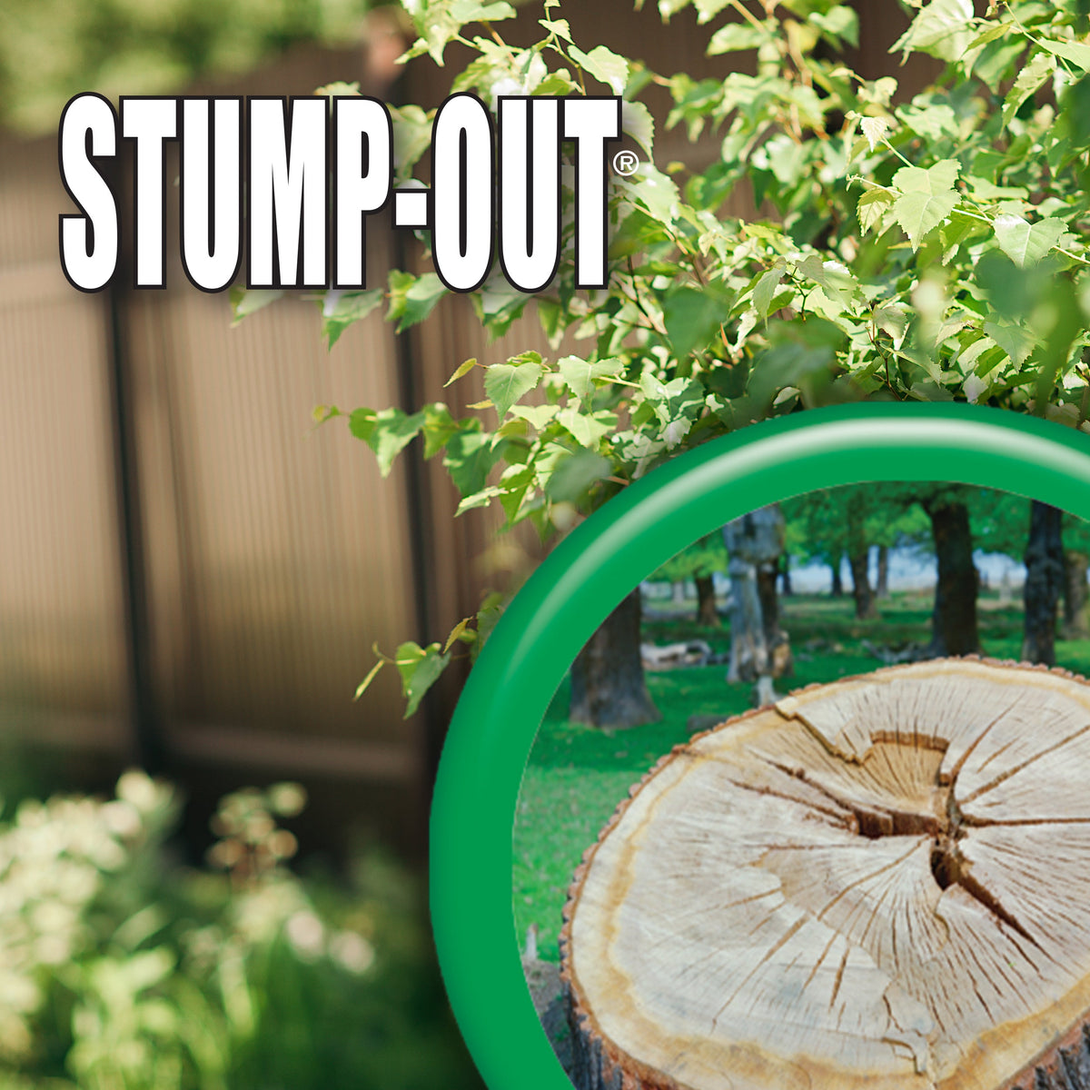 Bonide Stump-Out DIY Stump Removal Granules, 1 lb