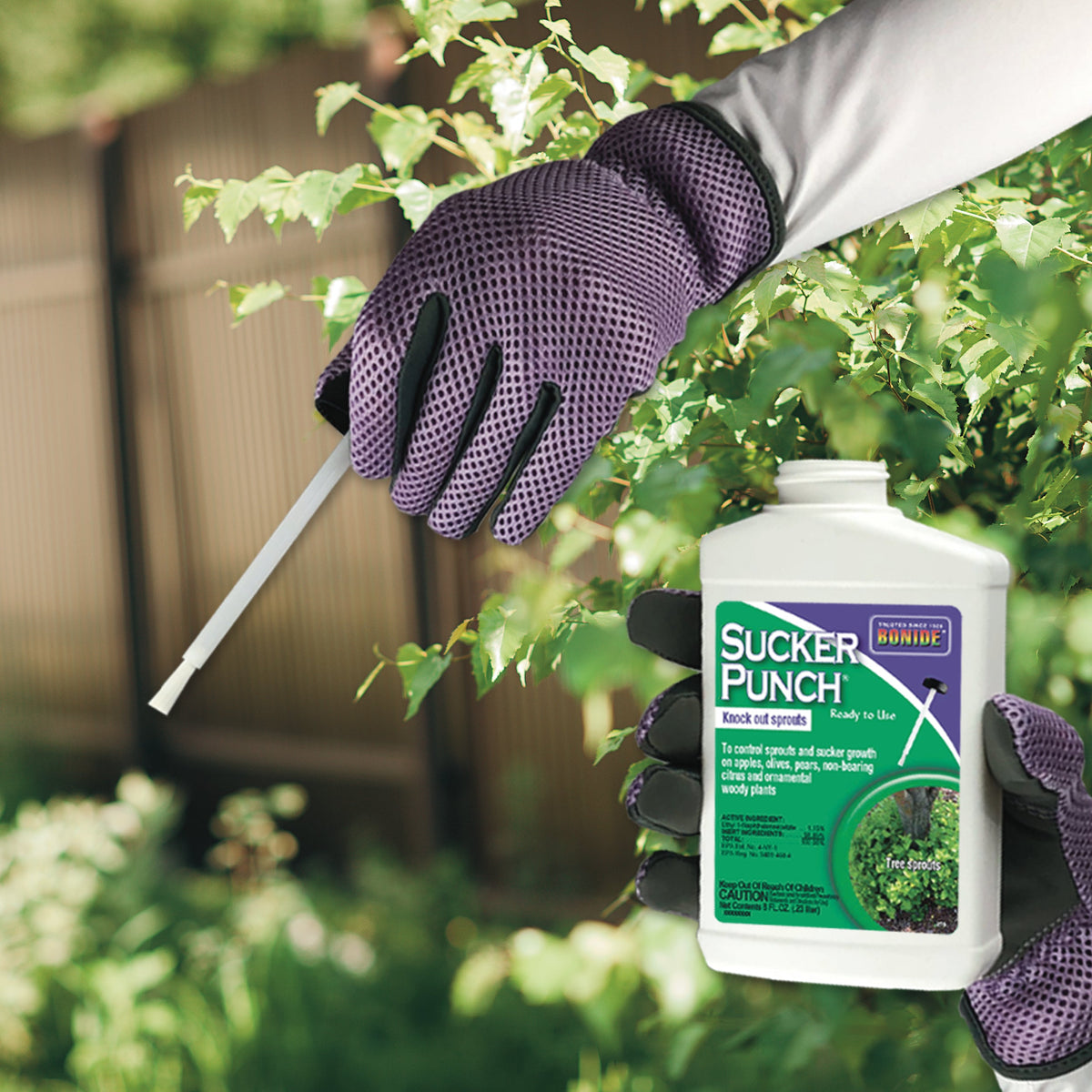 Bonide Sucker Punch Ready-to-Use Sprout & Sucker Control, 16 oz