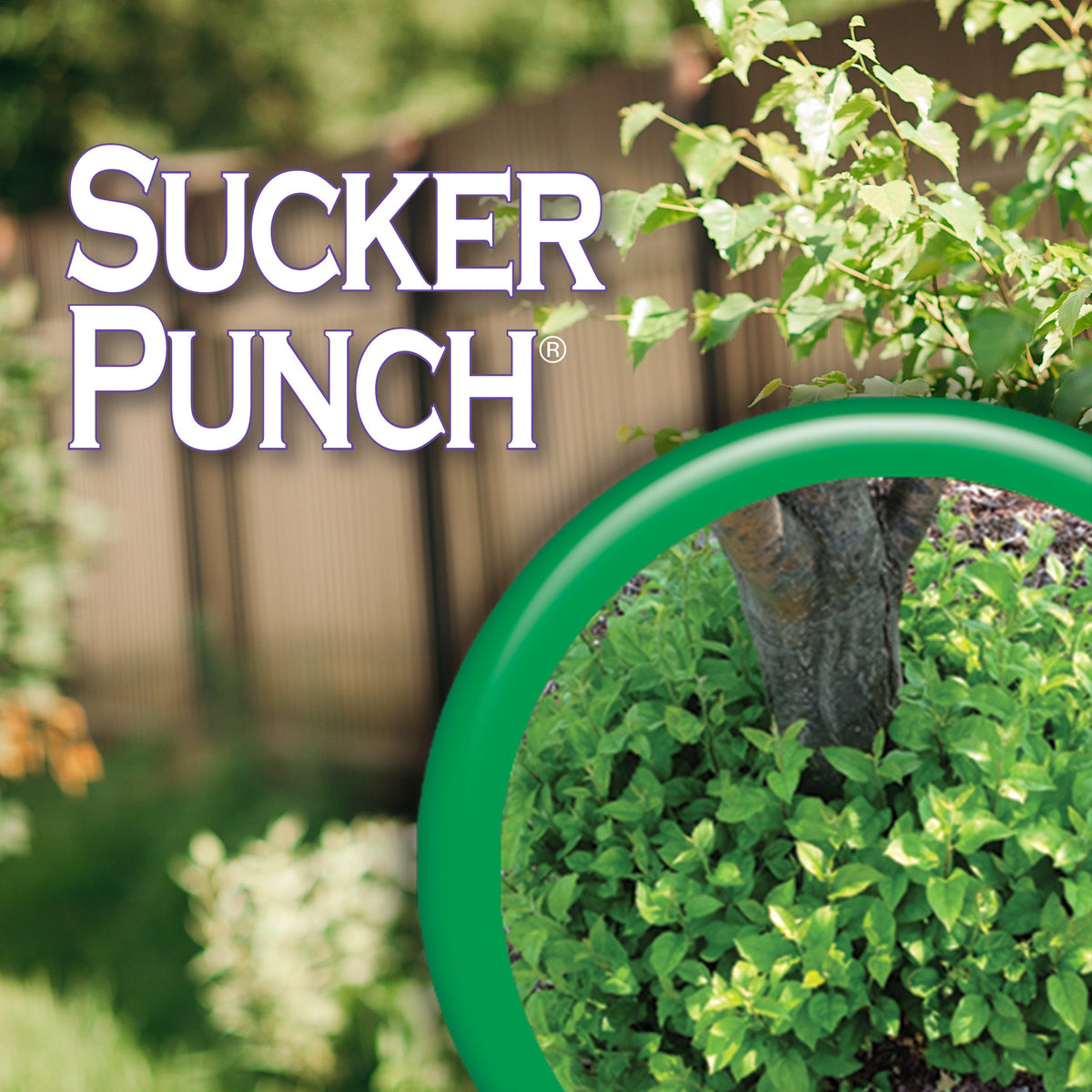 Bonide Sucker Punch Ready-to-Use Sprout & Sucker Control, 16 oz