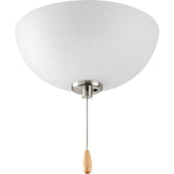 Bravo Collection 3-Light Antique Bronze Ceiling Fan Light
