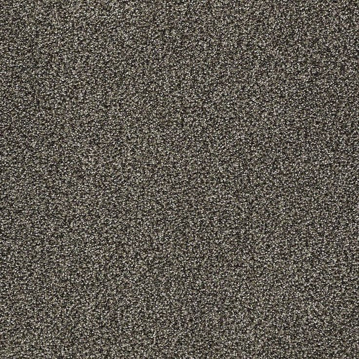 STAINMASTER PetProtect Baxter I Doberman Textured Carpet (Indoor)