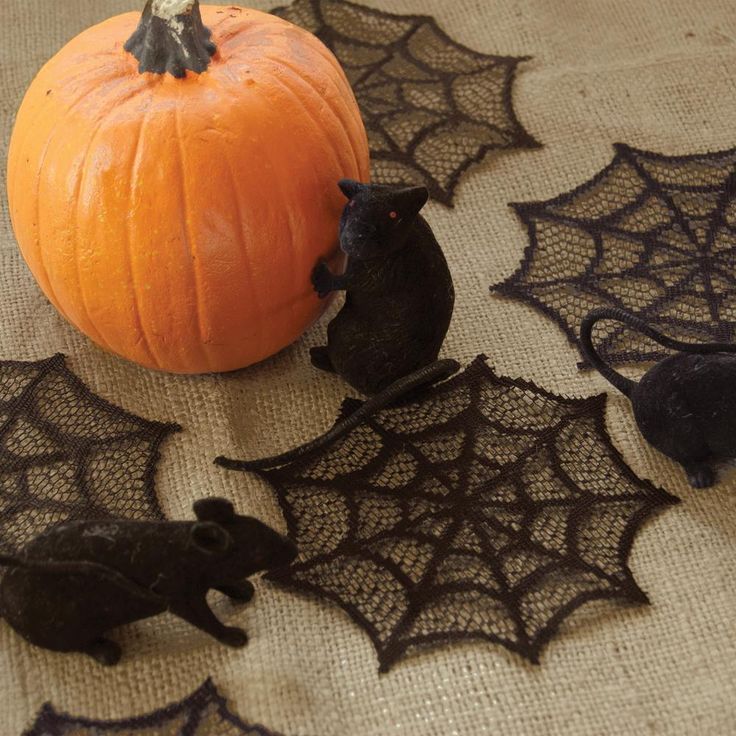 Spider Web 6 in. Black Doily (Set of 6)