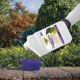Bonide Garden Rich Liquid Iron Concentrate Plant Food, 32 oz