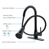 Classic Series Single-Handle Pull-Down Sprayer Kitchen Faucet in Matte Black - Super Arbor