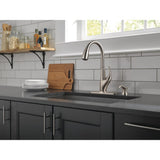 DeLuca Single-Handle Pull-Down Sprayer Kitchen Faucet with ShieldSpray Technology and Soap Dispenser in Stainless - Super Arbor
