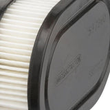Briggs & Stratton Air Filter