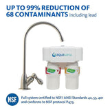 2-Stage Under Counter Water Filtration System with Brushed Nickel Finish Faucet
