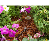 2ce92940-c8c6-45c3-b10d-05a8393eb857_quality=60&_mzcb=_1649148331752_1443263508