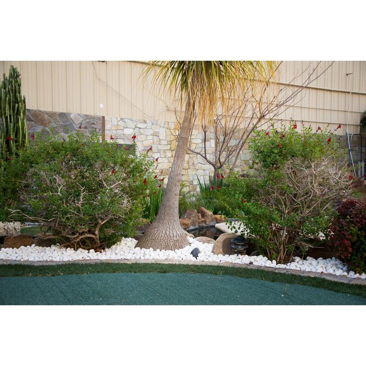 MSI Himalaya White 0.5 cu. ft . 1 to 2 in. Pebbles. 40 lbs. Bag (55 Bags/Pallet)