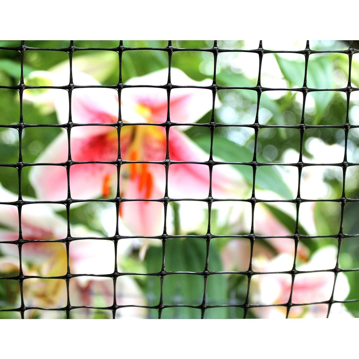 2d17e793-4724-4d6c-ba79-30905fa9c565_quality=60&_mzcb=_1649148331752_-193558763