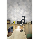Emser VIRTUE 9-Pack White 18-in x 18-in Glazed Porcelain Patterned Floor and Wall Tile
