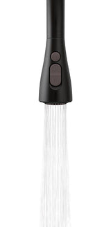 Arbor Single-Handle Pull-Down Sprayer Kitchen Faucet with Reflex and Soap/Lotion Dispenser in Matte Black