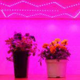 GrowFlex 8.2ft 16W Amber Purple Grow Light - Super Arbor