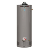Performance Platinum 50 Gal. Short 12 Year 40,000 BTU Natural Gas Powered Damper ENERGY STAR Water Heater - Super Arbor
