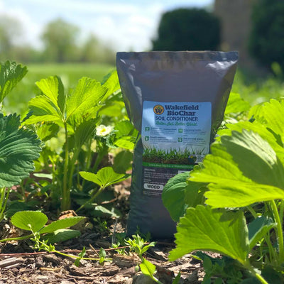 1 lb. Premium Biochar Organic Garden Soil Conditioner (2-Pack) - Super Arbor
