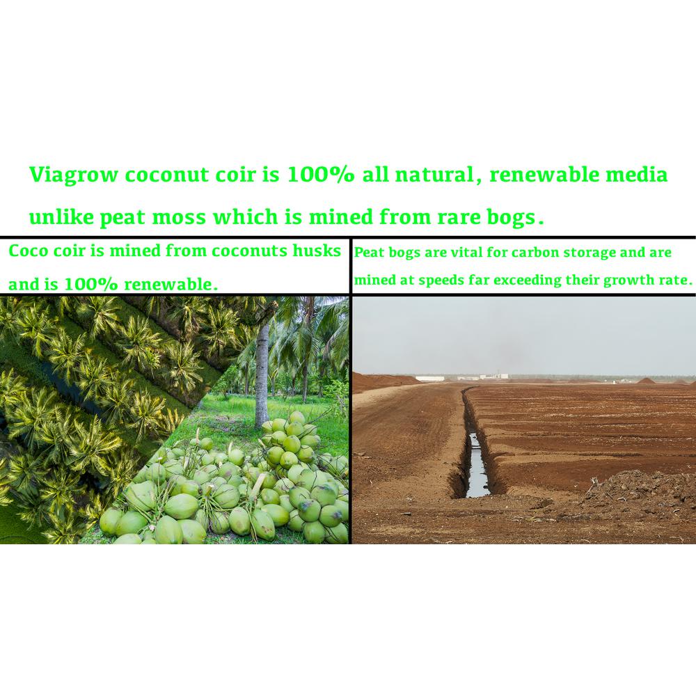 Viagrow 1.5 cu. ft. Coconut Coir Soilless Grow Media Bag (2-Pack) - Super Arbor