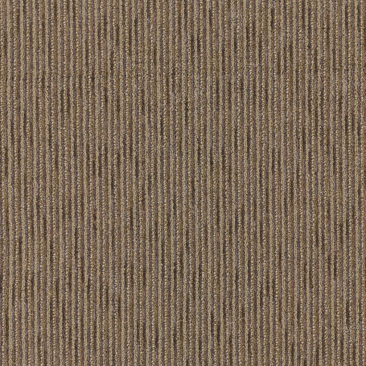 Goodwick 24" x 24" (72SF/carton) carpet tile in SCIENTIST - Super Arbor