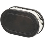 Briggs & Stratton Air Filter