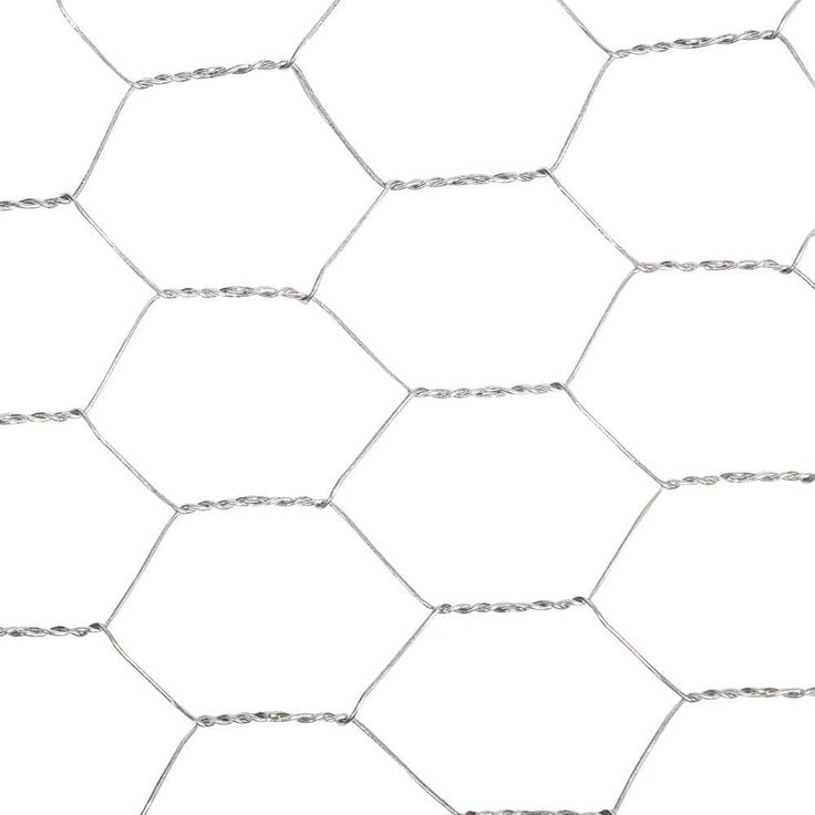 Everbilt 1 in. Mesh 2 ft. x 50 ft. 20-Gauge Galvanized Steel Poultry Netting