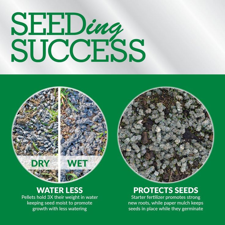 GreenView 38 lbs. Fairway Formula Seeding Success Biodegradable Mulch with Fertilizer