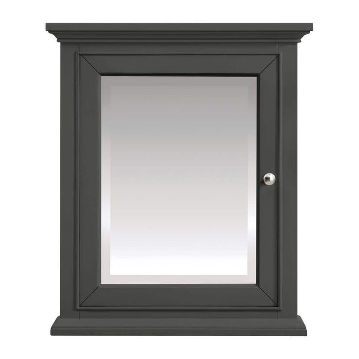Home Decorators Collection Windlowe 24 in. W x 28 in. H Rectangular Medicine Cabinet with Mirror