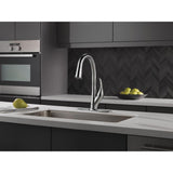 Esque Single-Handle Pull-Down Sprayer Kitchen Faucet with ShieldSpray Technology in Arctic Stainless - Super Arbor