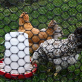Everbilt 3/4 in. Mesh 3 ft. x 25 ft. Black Plastic Poultry Netting