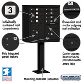 Salsbury Industries Cluster Box Unit, 8 Doors with 2 Parcel Lockers, Black, USPS Access