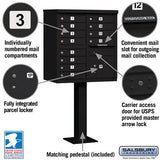 12-Door Cluster Box Unit with Parcel Locker in Black with USPS Access